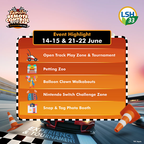 lsh33-2025-14-15jun-21-22-jun-family-remote-control-car-3