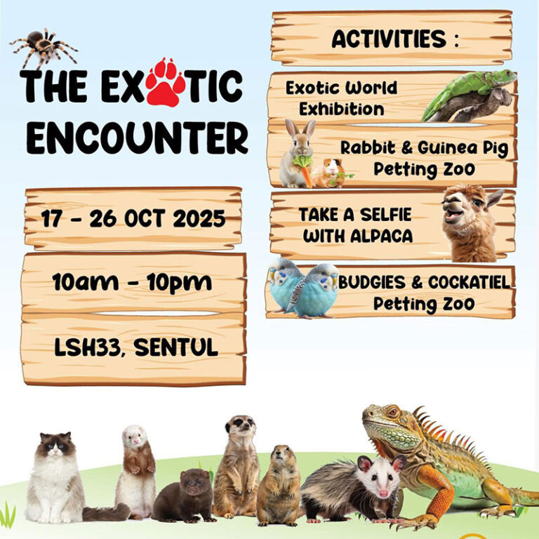 The Exotic Encounter